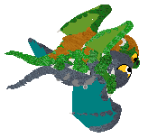 cnr1.gif