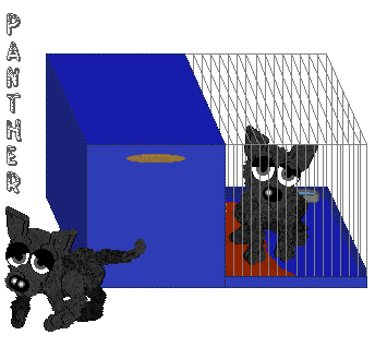 pantherf.gif